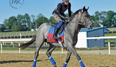 Longhi (Maggie Kimmitt Photography)