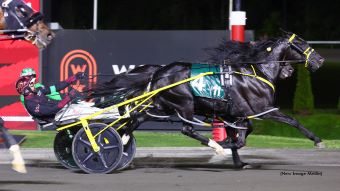 Louprint ‘vicious’ in qualifying return – U.S. Trotting News