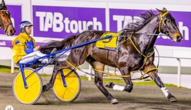 Gloucester Park Harness Racing