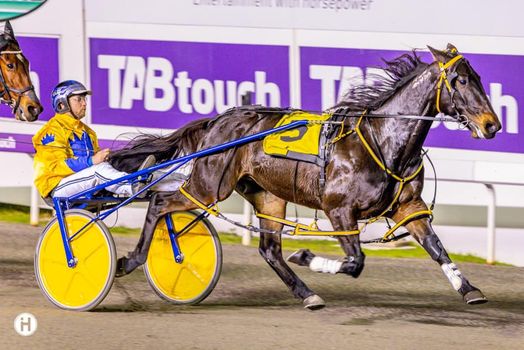 Gloucester Park Harness Racing