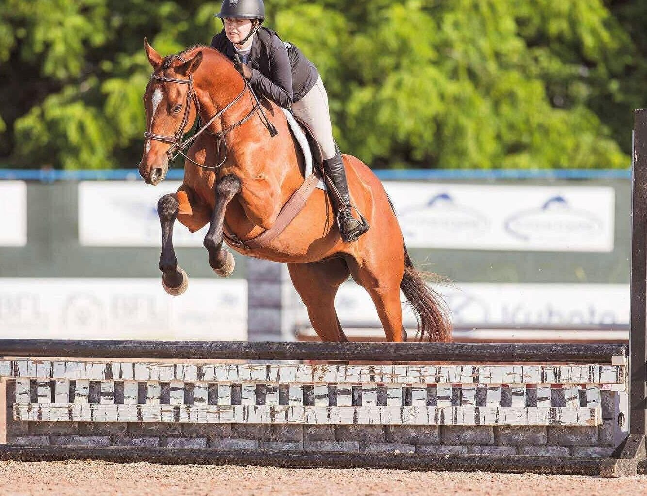 OTTB Spotlight: Miriam's Sky (Blinky)