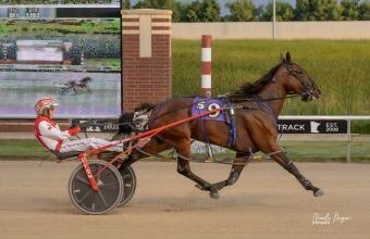 Miss May Bell romps in sophomore filly pace at Running Aces  – U.S. Trotting News