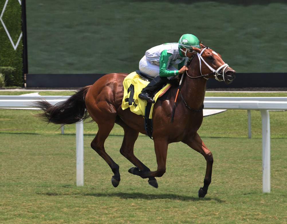 Florida-breds Monster and Win N Juice Likely Have Different Strategies for Monmouth’s Tyro Stakes
