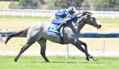 McArdle backing ‘bigger and stronger’ My Gladiola to make an impact on return