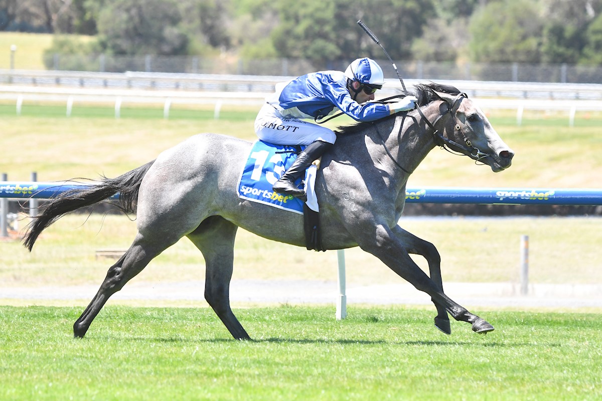 McArdle backing ‘bigger and stronger’ My Gladiola to make an impact on return