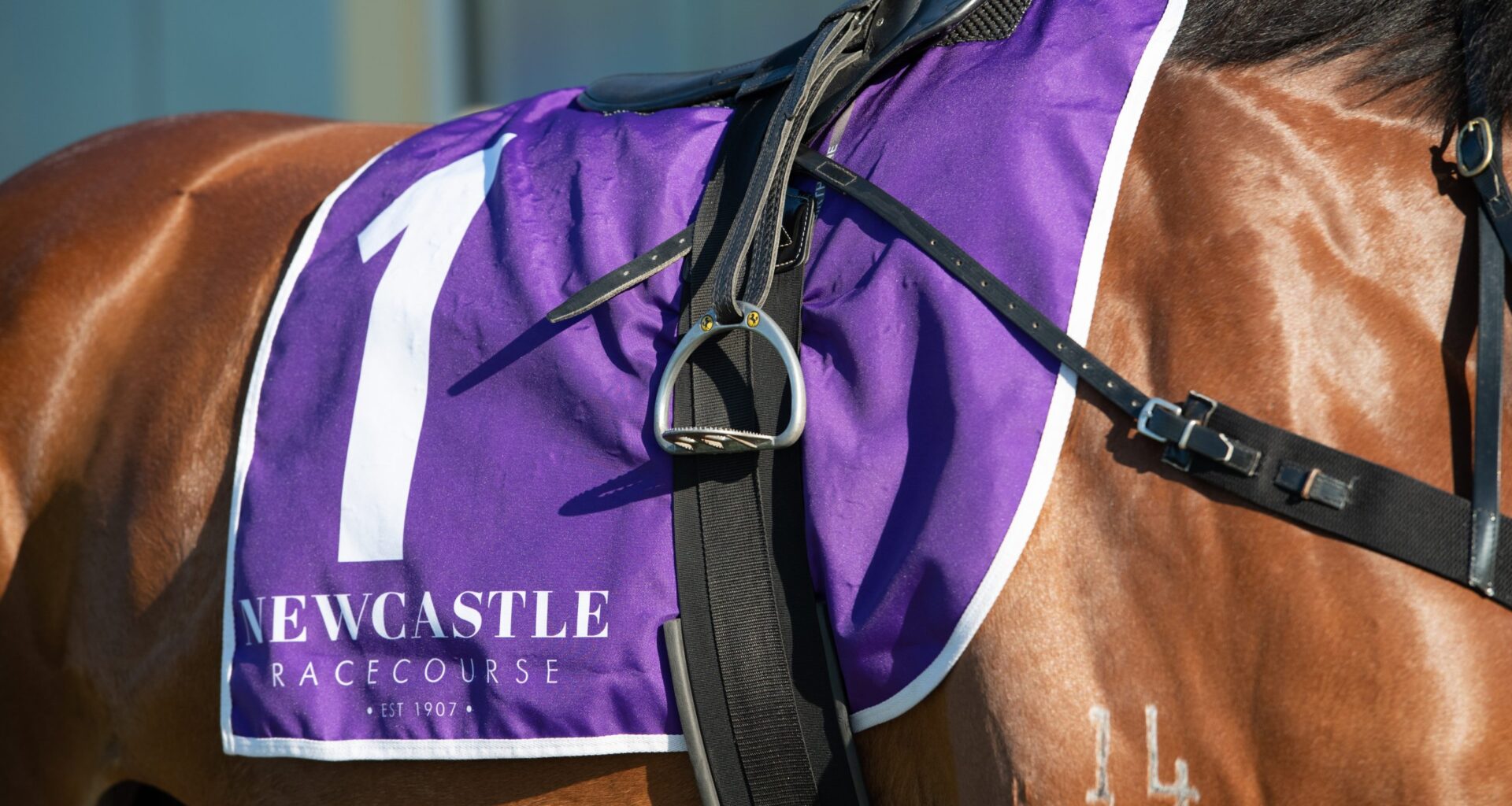 Gary Harley - Herald - 02.08.25