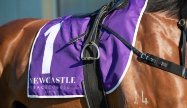 Gary Harley - Herald - 02.08.25