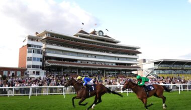 Saturday racing tips: Newbury & Ripon Best Bets & Horse Racing Odds