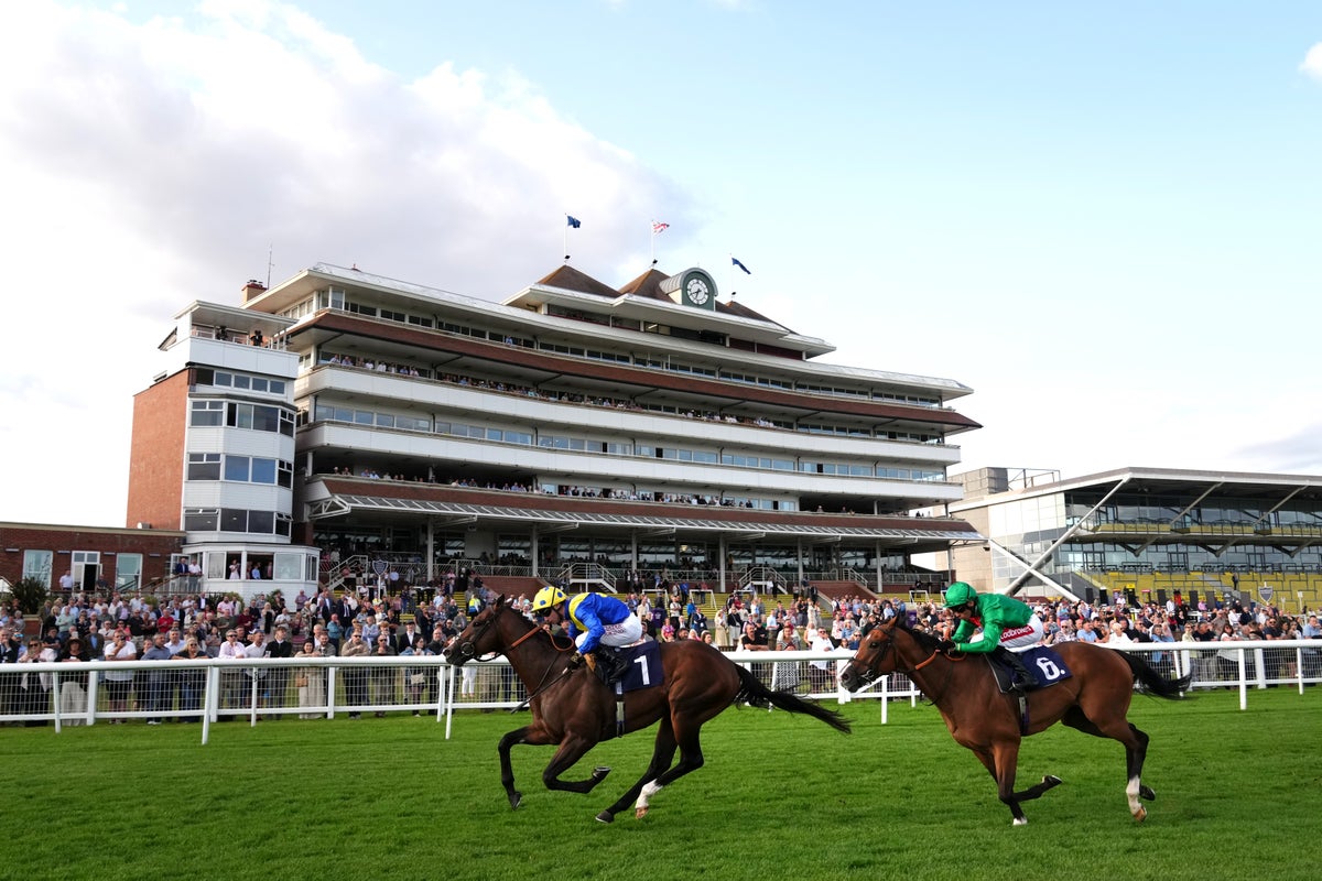 Saturday racing tips: Newbury & Ripon Best Bets & Horse Racing Odds