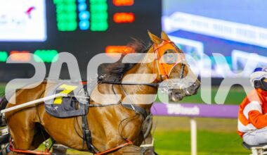 Gloucester Park Harness Racing