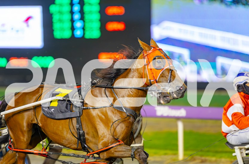 Gloucester Park Harness Racing