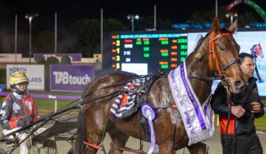 Gloucester Park Harness Racing
