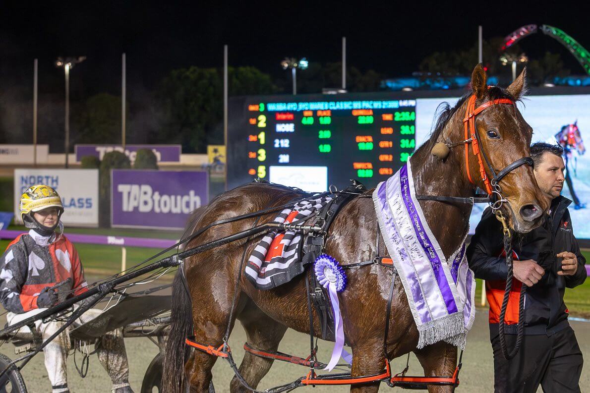 Gloucester Park Harness Racing
