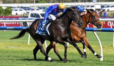 Queman seals remarkable return with Behemoth victory