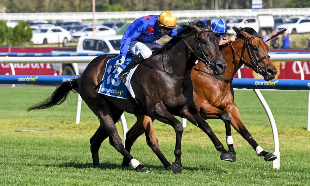 Queman seals remarkable return with Behemoth victory