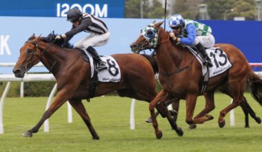 Litt hoping Romeo can land Missile strike at Randwick