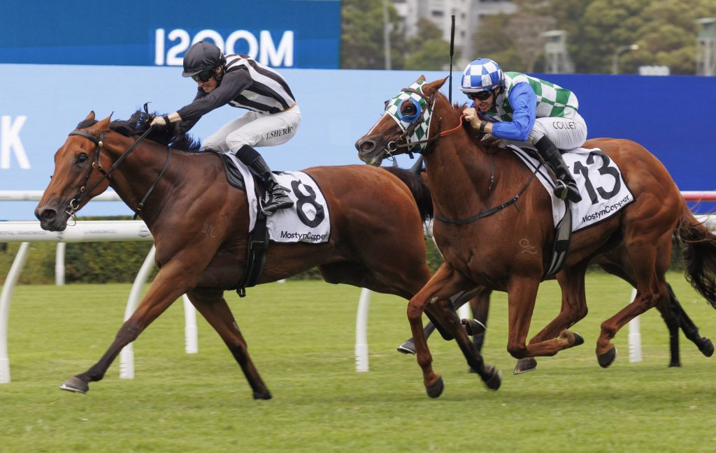 Litt hoping Romeo can land Missile strike at Randwick