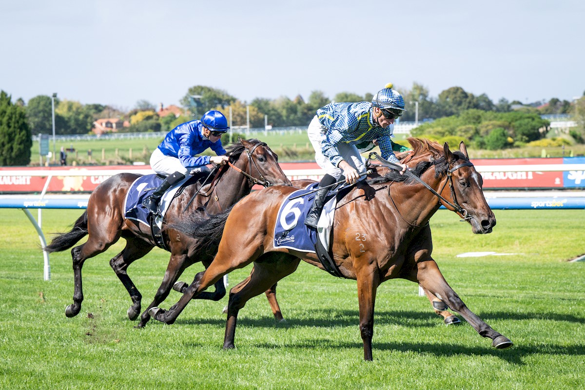 Lindsay Park bid to kick-off season on a high with trio of stakes runners