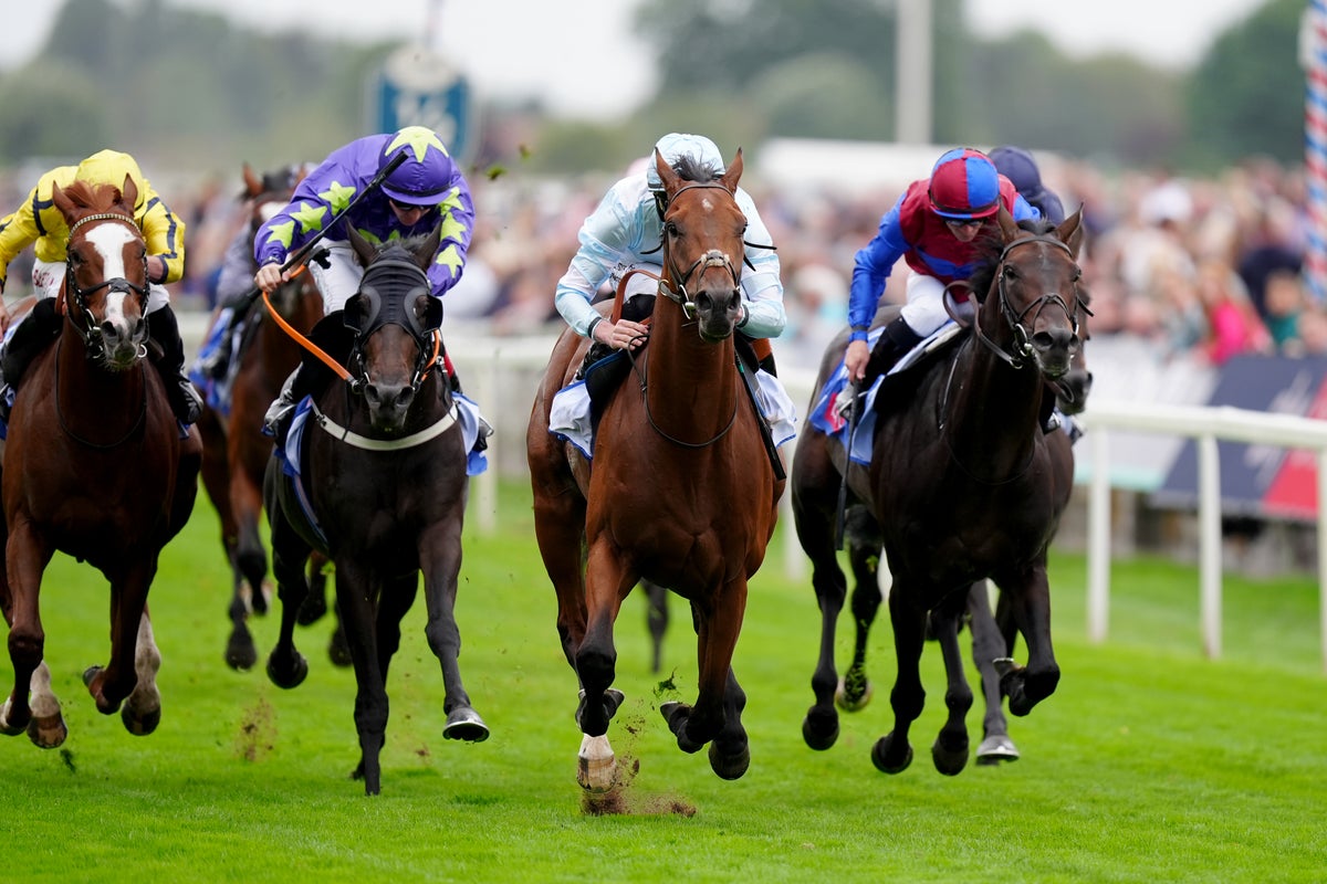 Thursday Racing Tips: Best Bets & Horse Racing Odds For Ebor Festival Day Two