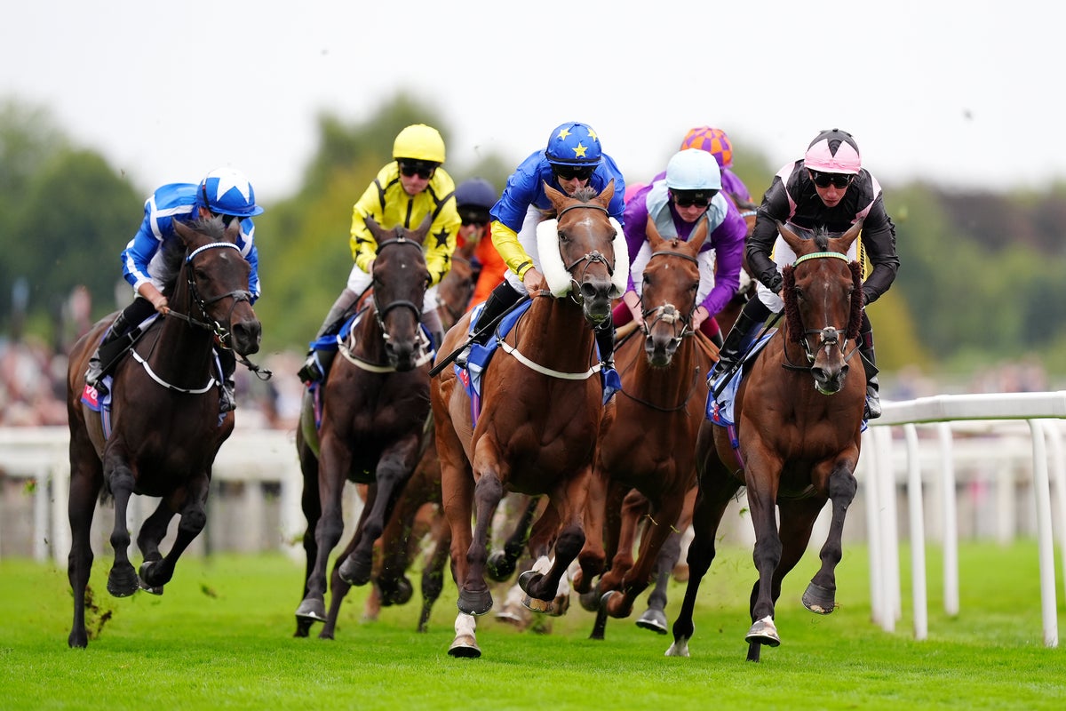 Friday Racing Tips: Best Bets & Horse Racing Odds For Ebor Festival Day Three