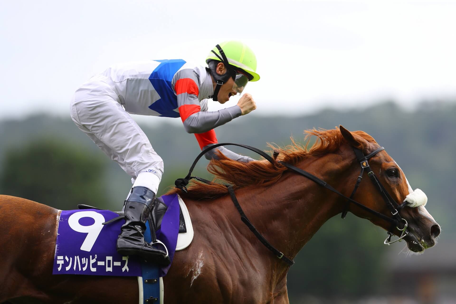 Ten Happy Rose wins G1 Victoria Mile