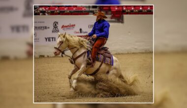 Horse trainer working out of Lebanon Co. farm wins big in Las Vegas competition