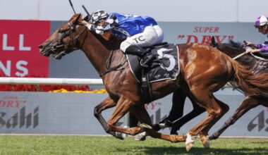 Melbourne Cup regular Vauban and Waller stars headline Randwick trials