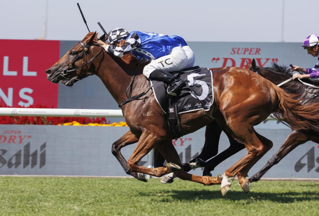 Melbourne Cup regular Vauban and Waller stars headline Randwick trials