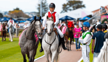 Gary Harley - Herald - 23.08.25