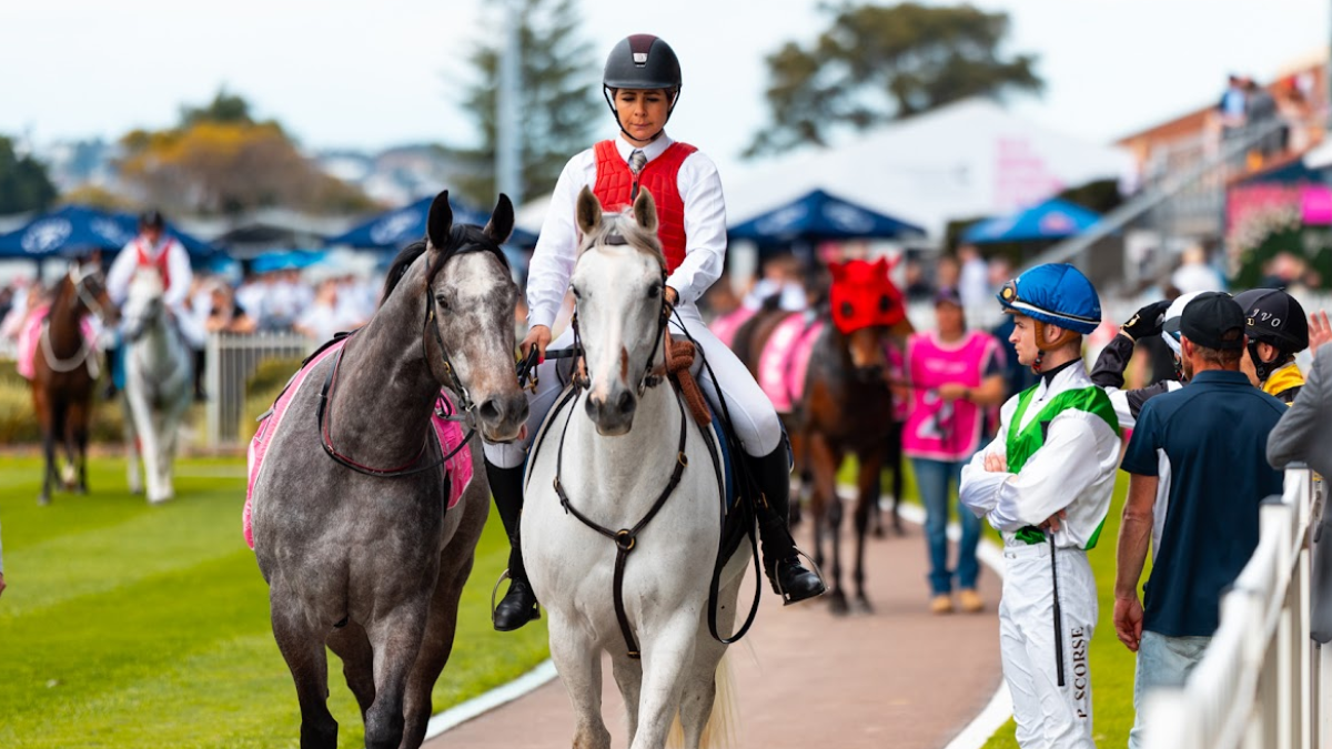 Gary Harley - Herald - 23.08.25