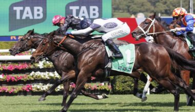 Within The Law set to be unleashed as Sydney’s weather puts Saturday card in doubt