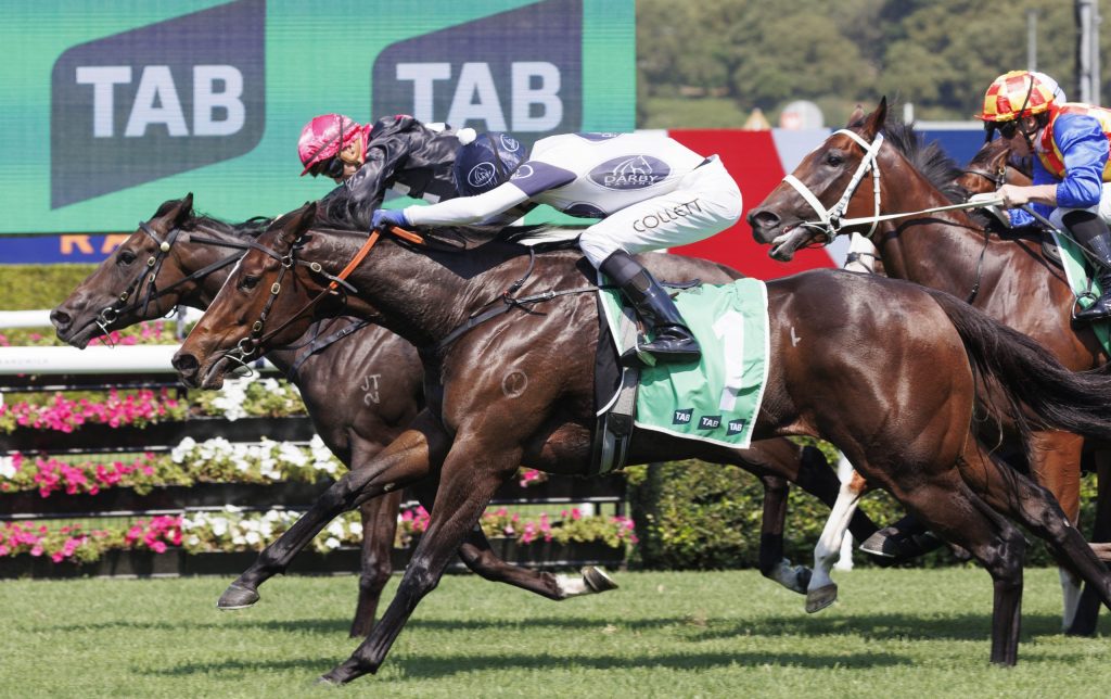 Within The Law set to be unleashed as Sydney’s weather puts Saturday card in doubt