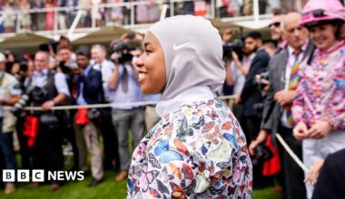 A Yangtze finless river porpoise underwater looks into the camera