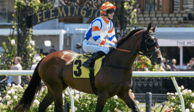 Nic out to be Bossy in Aurie’s Star | Latest News