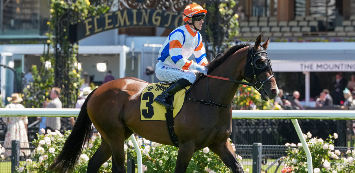 Nic out to be Bossy in Aurie’s Star | Latest News