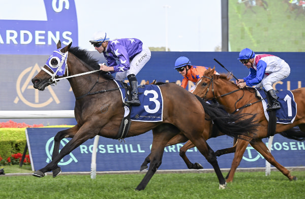 Olentia is the 11th daughter of Zoustar to sell as a broodmare prospect for $1million or more - image Bradley Photography