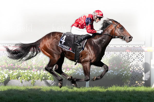 Schwarz stands at Rosemont Stud at a fee of $38,500, click for more info.