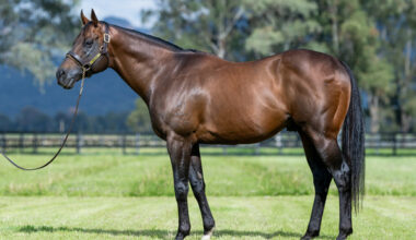 Zoustar, click for more info.