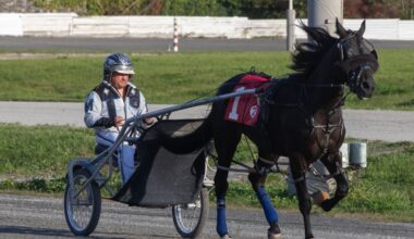 Abrupt end for Fraser Downs track a blow to B.C. horse racing