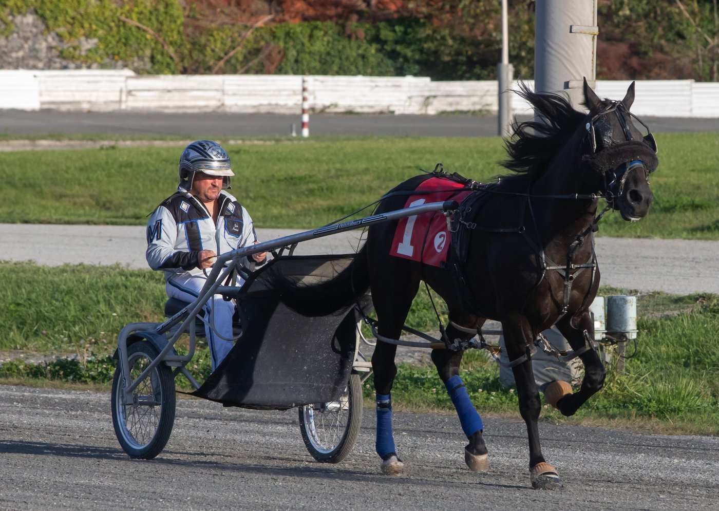 Abrupt end for Fraser Downs track a blow to B.C. horse racing