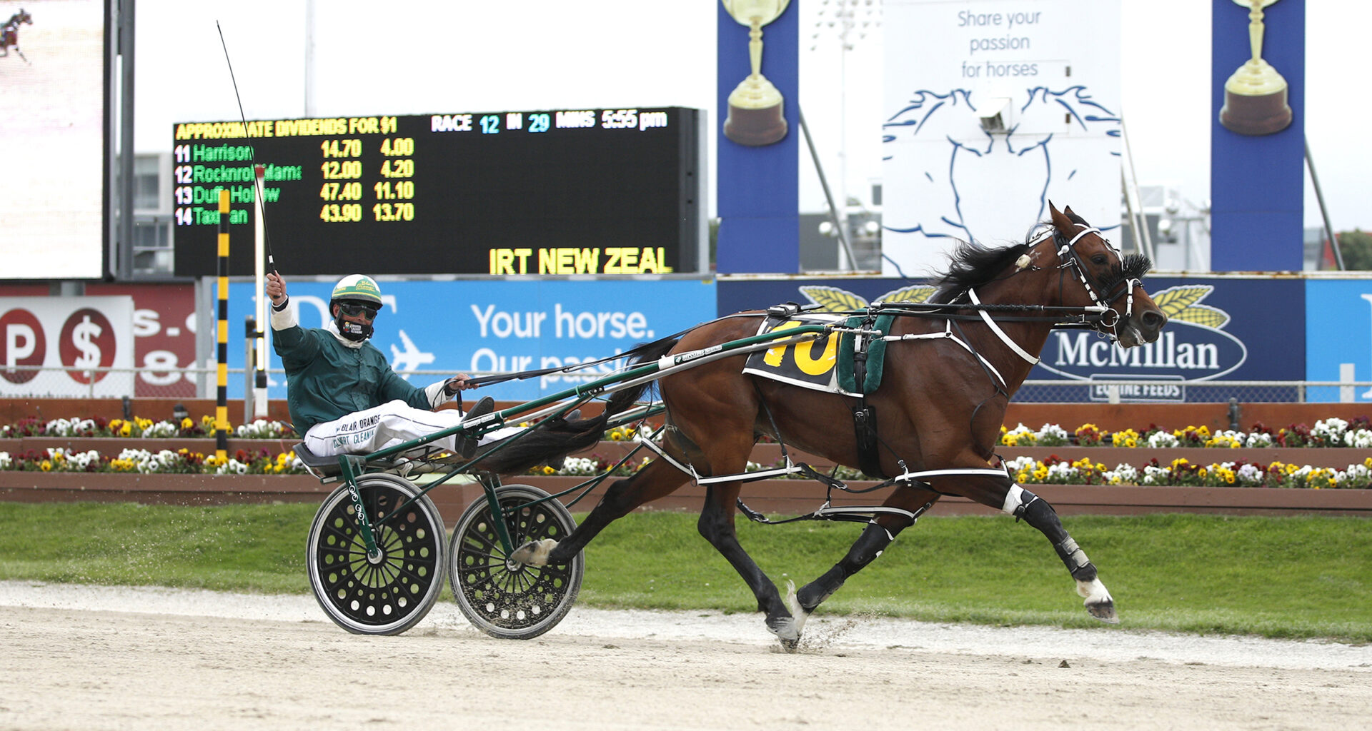 NZ superstar Copy That to stand at Murray Vets