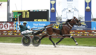 NZ superstar Copy That to stand at Murray Vets