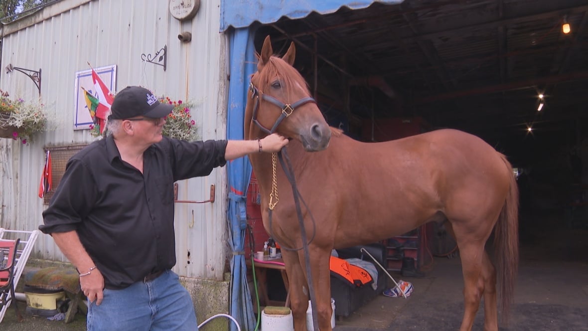 A man in black shirt and jeans wearing a cap stands with his horse outside a stable.