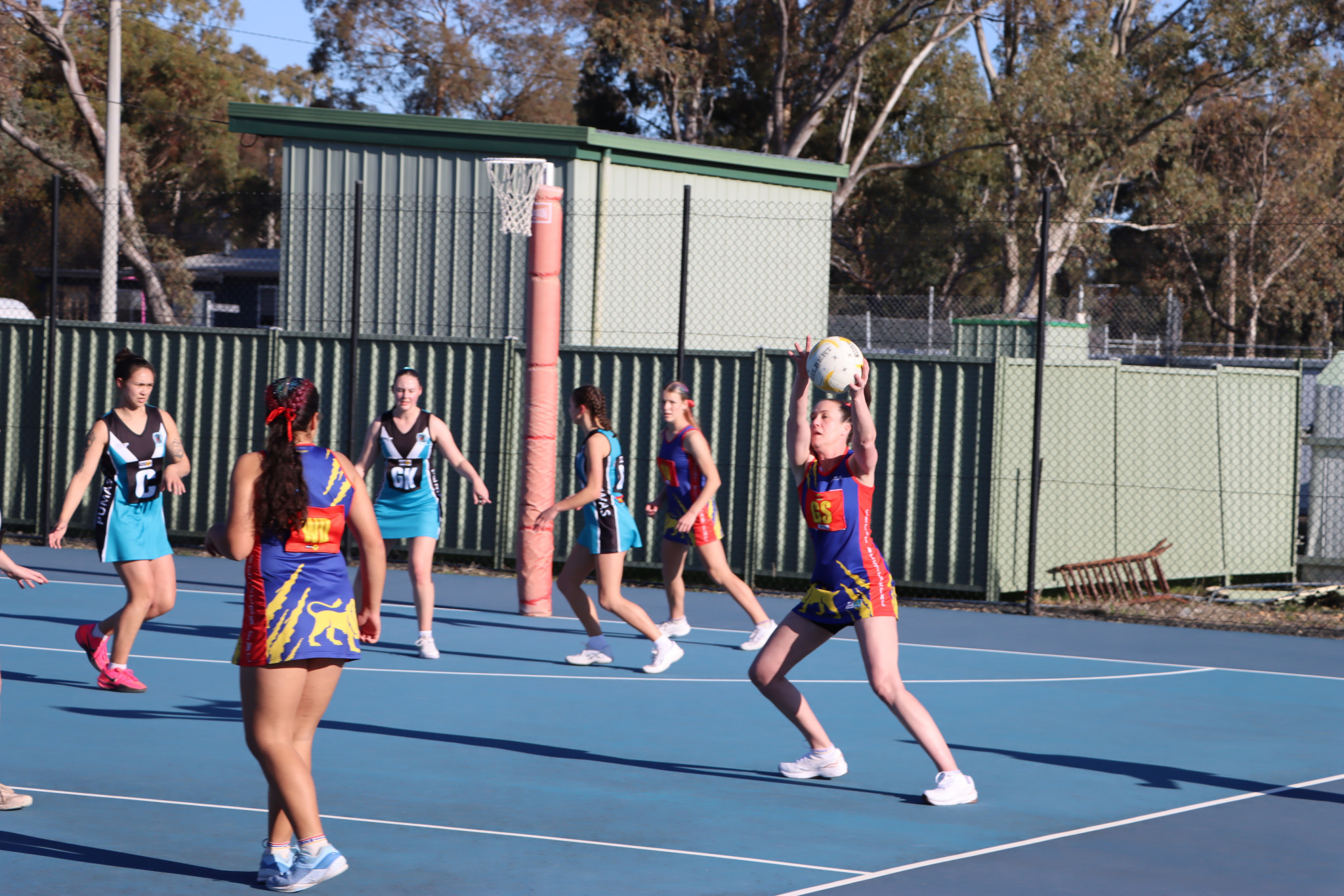 Lions star goal shooter Kim Hay returned from injury for her first game since May 31, and teaming up with Ruby Thomas, helped lead the Lions to a strong win, keeping their finals chances alive. PHOTO: CRAIG WILSON