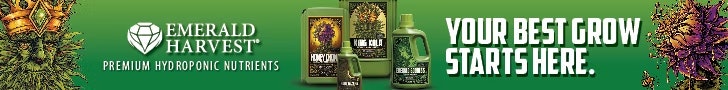Advertisment: Emerald Harvest » Emerald Harvest Order 115 » CBT ROS Leaderboard Ad 728x90 August 2025 » eh-360-web-banner-728x90.