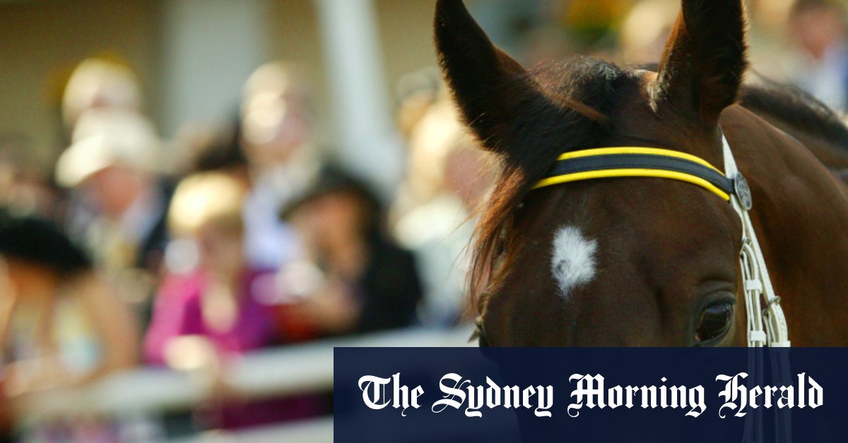 Race-by-race preview and tips for Goulburn on Monday