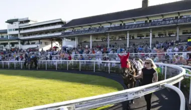 A horse in a hood being led around the parade ring at Chepstow Races