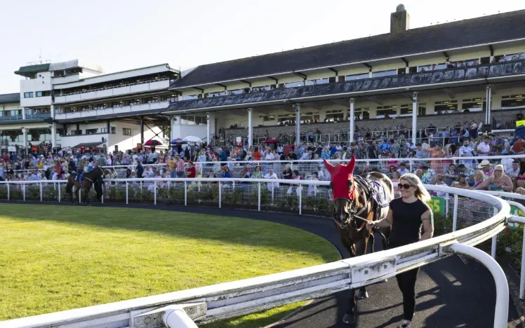 A horse in a hood being led around the parade ring at Chepstow Races