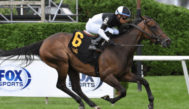 Awesome Czech brings consistent form to $150K Yaddo pres. by STIHL