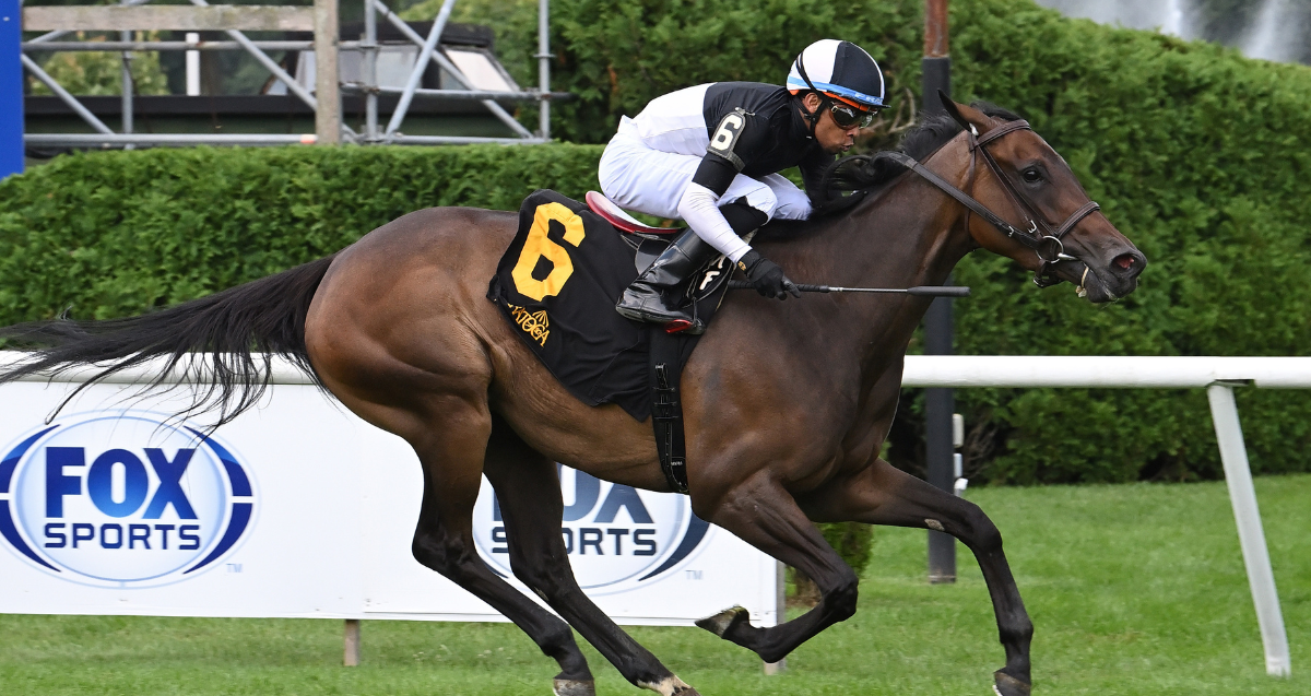 Awesome Czech brings consistent form to $150K Yaddo pres. by STIHL
